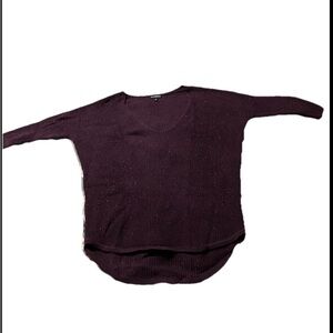 Express Purple V-Neck Sweater